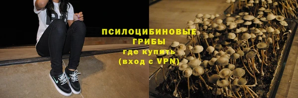 крисы Балахна